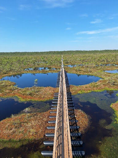 Natuurreservaat Endla Bog in Estland