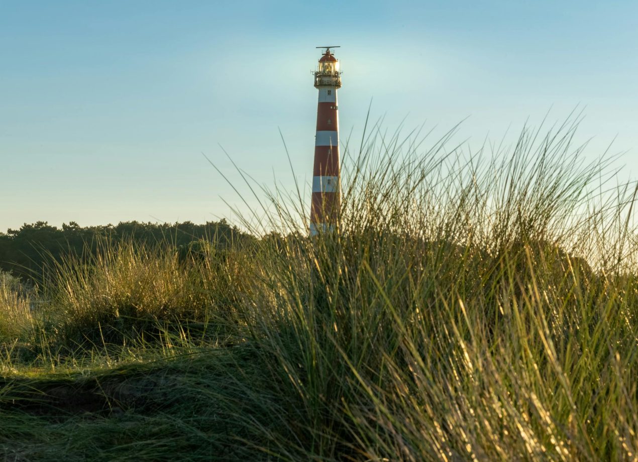 Schoolreis Waddeneilanden