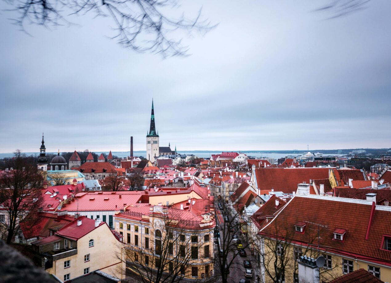 Studiereis naar Estland