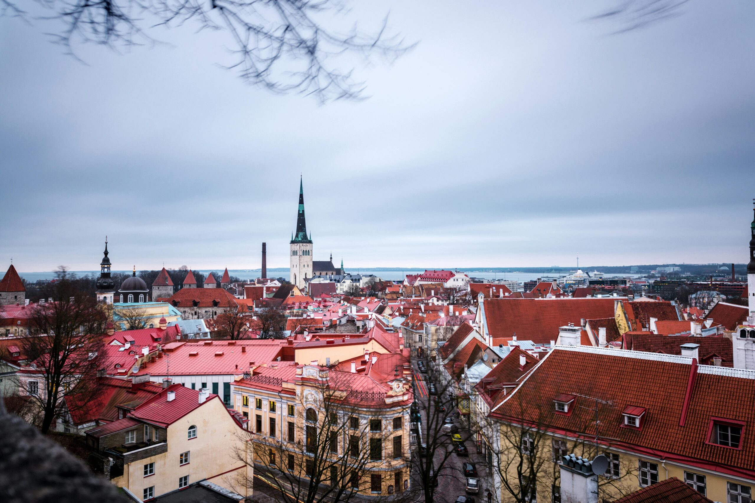 Studiereis naar Estland